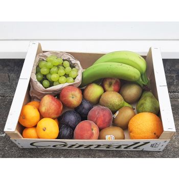 SMALL FRUIT BOX