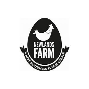  6 LARGE FREE RANGE EGGS