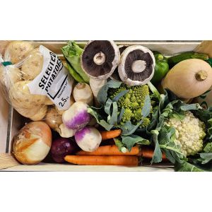 LARGE VEGETABLE BOX