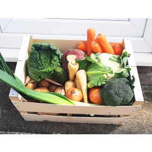 SMALL VEGETABLE BOX